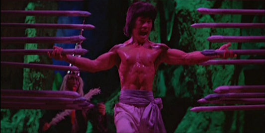 nan kung fu movie DVD Shaw Brothers martial arts film Hong Kong cinema