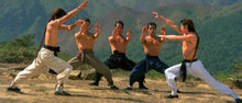 "Shaolin Martial Arts" aka (Hong quan yu yong chun) (1974)