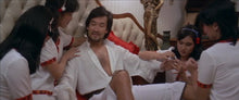 "Shanghai 13" a.k.a. (Shang Hai Tan Shi San Tai Bao) (1984) - Classic Kung Fu Movies