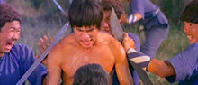 "The Shaolin Avengers" a.k.a. (Fang Shih Yu Yu Hu Hui Chien)  (1976) - Classic Kung Fu Movies