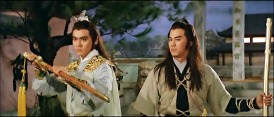 nan kung fu movie DVD Shaw Brothers martial arts film Hong Kong cinema