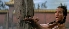 "The Shaolin Avengers" a.k.a. (Fang Shih Yu Yu Hu Hui Chien)  (1976) - Classic Kung Fu Movies