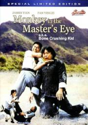 Bone Crushing Kid a.k.a. kung fu movie DVD Shaw Brothers martial arts film Hong Kong cinema
