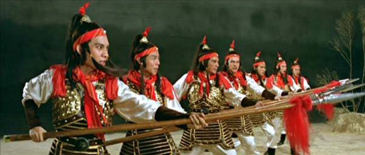 nan kung fu movie DVD Shaw Brothers martial arts film Hong Kong cinema