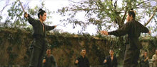 "The Assassin" a.k.a. (Ci ke, Daai Chi Haak) (1967) - Classic Kung Fu Movies