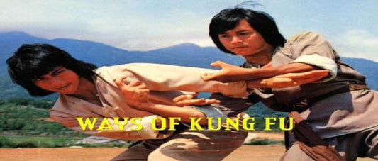 nan kung fu movie DVD Shaw Brothers martial arts film Hong Kong cinema