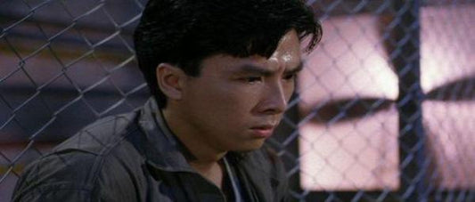 nan kung fu movie DVD Shaw Brothers martial arts film Hong Kong cinema