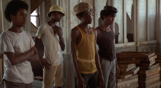 nan kung fu movie DVD Shaw Brothers martial arts film Hong Kong cinema