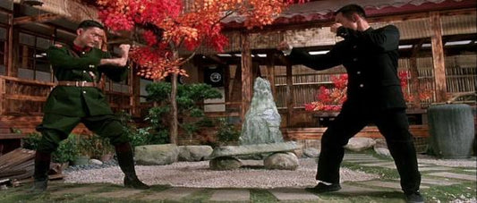 nan kung fu movie DVD Shaw Brothers martial arts film Hong Kong cinema