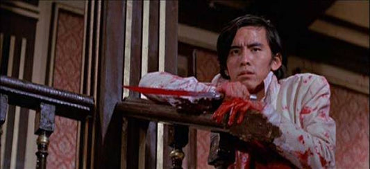 nan kung fu movie DVD Shaw Brothers martial arts film Hong Kong cinema