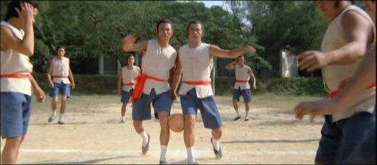 nan kung fu movie DVD Shaw Brothers martial arts film Hong Kong cinema