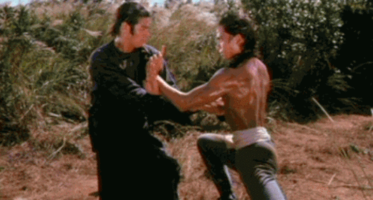 nan kung fu movie DVD Shaw Brothers martial arts film Hong Kong cinema