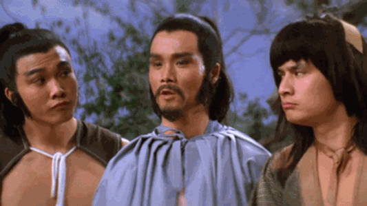 nan kung fu movie DVD Shaw Brothers martial arts film Hong Kong cinema