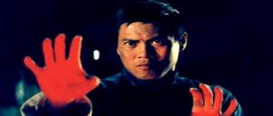 nan kung fu movie DVD Shaw Brothers martial arts film Hong Kong cinema