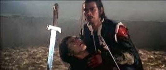 nan kung fu movie DVD Shaw Brothers martial arts film Hong Kong cinema