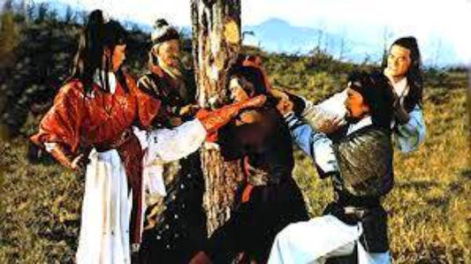 nan kung fu movie DVD Shaw Brothers martial arts film Hong Kong cinema