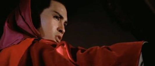 nan kung fu movie DVD Shaw Brothers martial arts film Hong Kong cinema