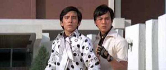 nan kung fu movie DVD Shaw Brothers martial arts film Hong Kong cinema