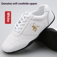 Thumbnail for Genuine Leather Professional Male Practice Shoes Tai Chi Martial Arts Shoes