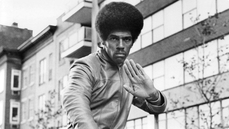 nan kung fu movie DVD Shaw Brothers martial arts film Hong Kong cinema