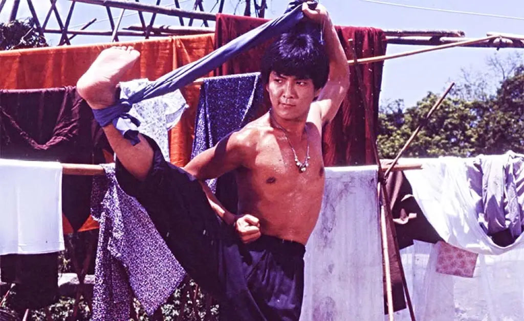 nan kung fu movie DVD Shaw Brothers martial arts film Hong Kong cinema