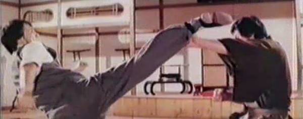 Hapkido A.K.A. Lady Kung Fu • 合氣道 (1972)
