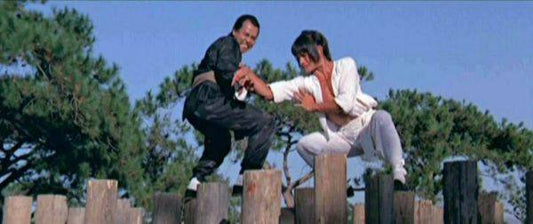Heroes Two AKA Kung Fu Invaders • 方世玉與洪熙官 (1974)