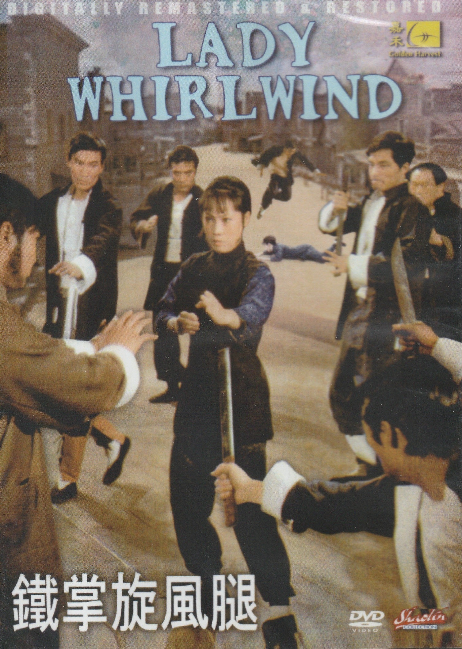 Lady Whirlwind a.k.a Deep Thrust kung fu movie DVD Shaw Brothers martial arts film Hong Kong cinema