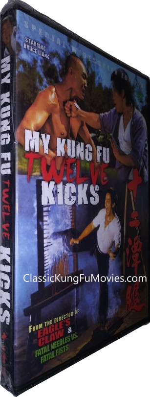 My Kung Fu Twelve Kicks (Incredible Master Beggars (1979)