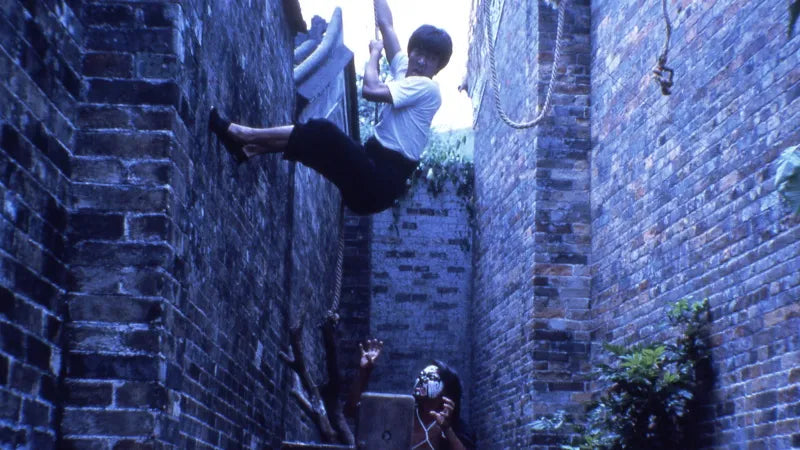 nan kung fu movie DVD Shaw Brothers martial arts film Hong Kong cinema