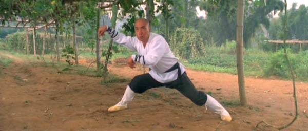 Martial Arts of Shaolin A.K.A. Nan Bei Shaolin • 南北少林 (1986)