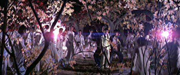 The Lizard A.K.A. The Kung Fu Lizard • 壁虎 (1977)
