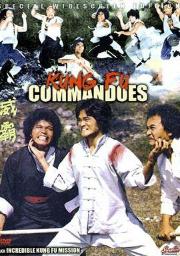 Incredible Kung Fu Mission a.k.a. kung fu movie DVD Shaw Brothers martial arts film Hong Kong cinema