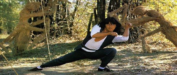 nan kung fu movie DVD Shaw Brothers martial arts film Hong Kong cinema