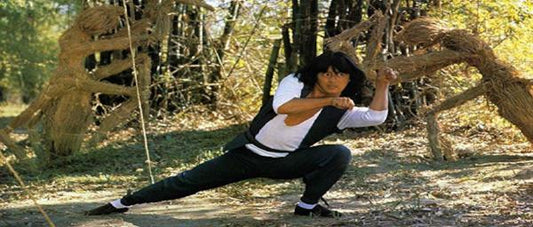 nan kung fu movie DVD Shaw Brothers martial arts film Hong Kong cinema