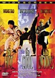 The Hot, The Cool And The Vicious a.k.a. kung fu movie DVD Shaw Brothers martial arts film Hong Kong cinema