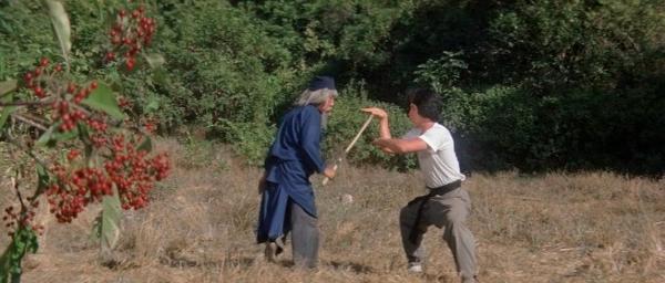 nan kung fu movie DVD Shaw Brothers martial arts film Hong Kong cinema