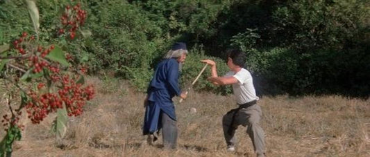 nan kung fu movie DVD Shaw Brothers martial arts film Hong Kong cinema