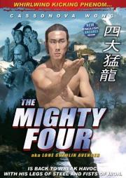 Lone Shaolin Avenger a.k.a. kung fu movie DVD Shaw Brothers martial arts film Hong Kong cinema