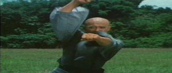nan kung fu movie DVD Shaw Brothers martial arts film Hong Kong cinema