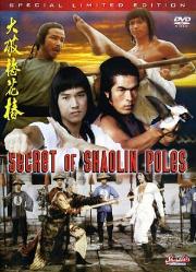 Secret Of The Shaolin Poles kung fu movie DVD Shaw Brothers martial arts film Hong Kong cinema