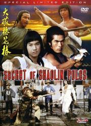 "Secret Of The Shaolin Poles" (1977)