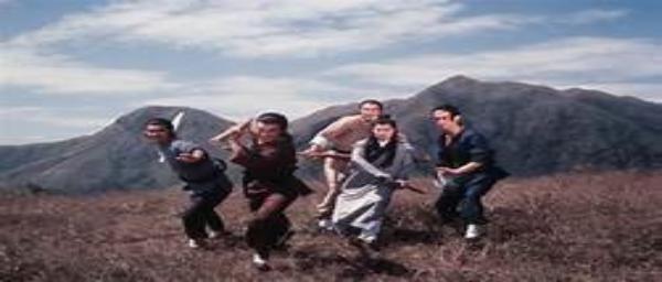 nan kung fu movie DVD Shaw Brothers martial arts film Hong Kong cinema