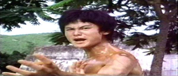 nan kung fu movie DVD Shaw Brothers martial arts film Hong Kong cinema