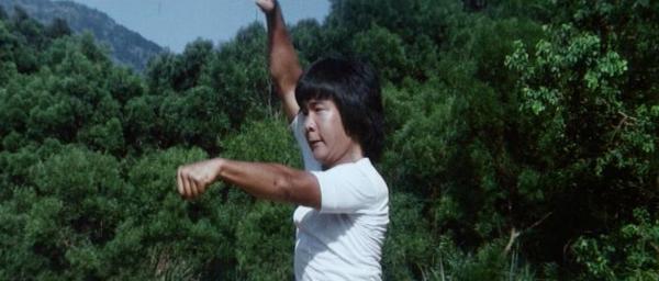 nan kung fu movie DVD Shaw Brothers martial arts film Hong Kong cinema