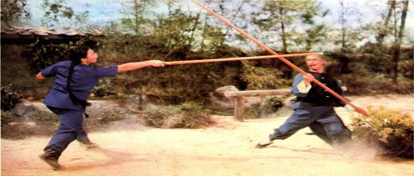 nan kung fu movie DVD Shaw Brothers martial arts film Hong Kong cinema