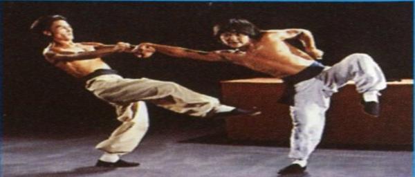 nan kung fu movie DVD Shaw Brothers martial arts film Hong Kong cinema