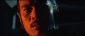 "Killer Constable" a.k.a. (Lightning Kung Fu) (1980)