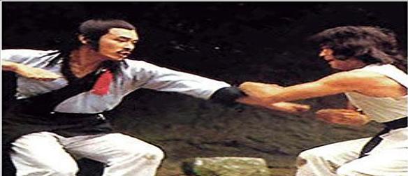 nan kung fu movie DVD Shaw Brothers martial arts film Hong Kong cinema
