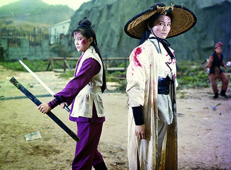 nan kung fu movie DVD Shaw Brothers martial arts film Hong Kong cinema